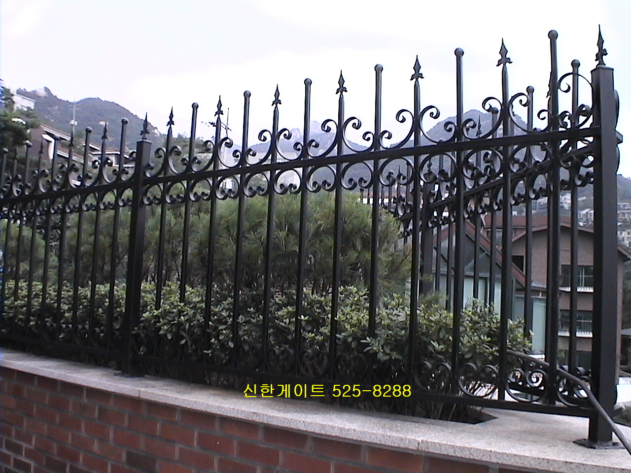 9971_copy_10434_3717599699_y8vDUrY9_0e20d3e919d8636032eeab2cf7af4781dd9067cd.jpg 이미지크게보기